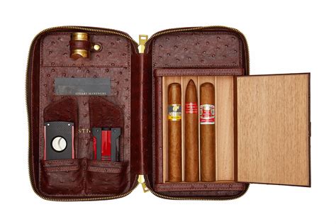 puro cigar case